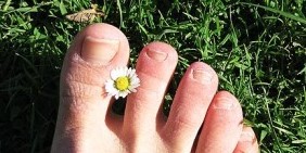 The nail fungus on your feet